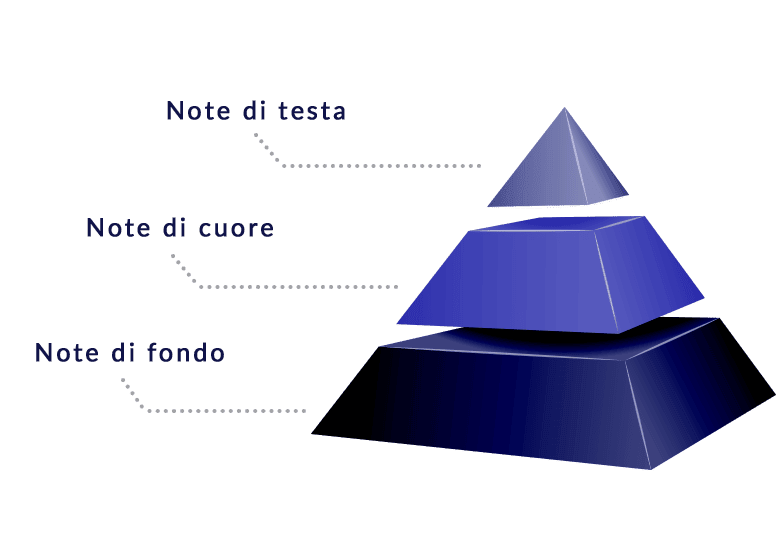 piramide olfattiva.png